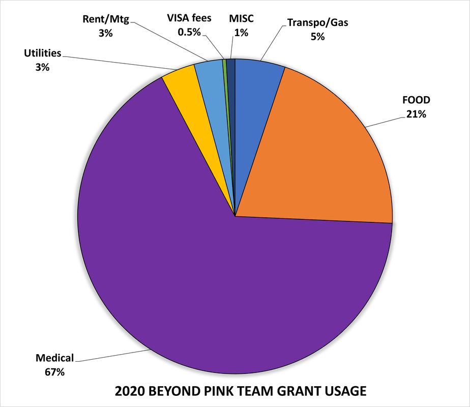 circle graph of grant usage showing 2.9% Rent/Mtg, 3.5% Utilities, 5.2% Transportation/Gas, 20.5% Food, and 66.6% Medical