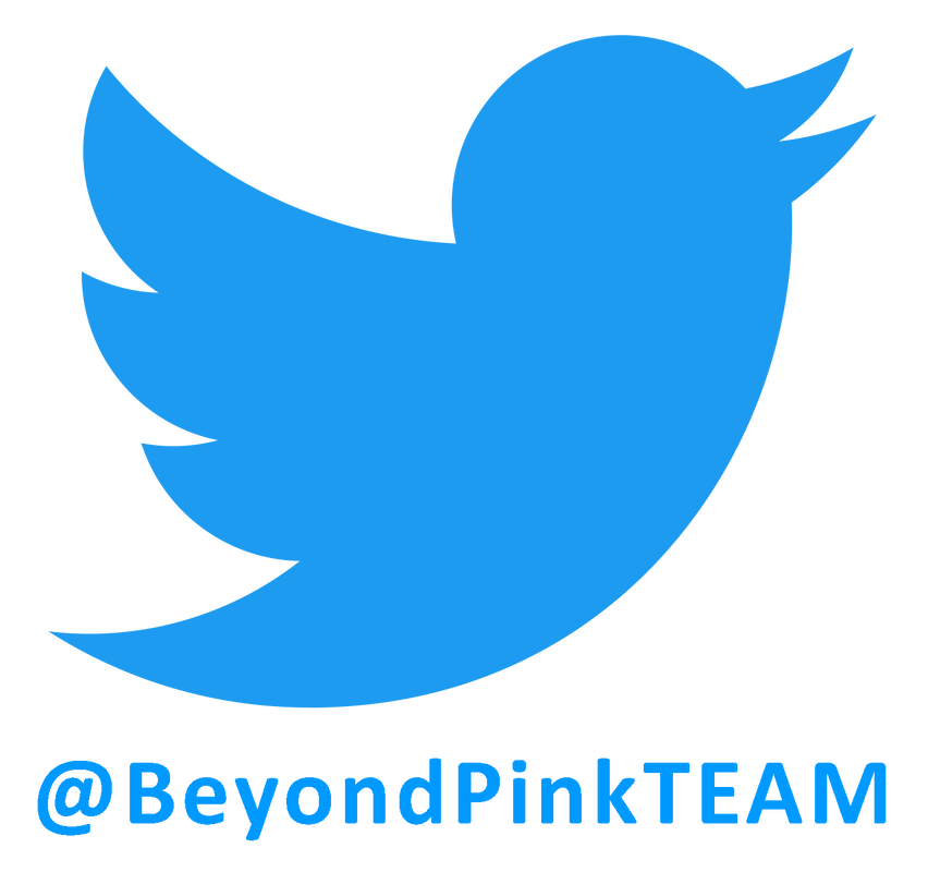 Twitter icon with text saying @BeyondPinkTEAM